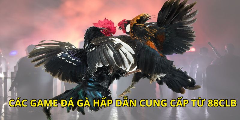 Game đá gà nòi hấp dẫn cung cấp từ 88CLB