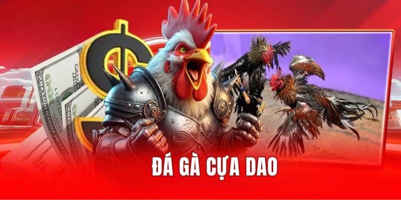 đá gà cựa dao